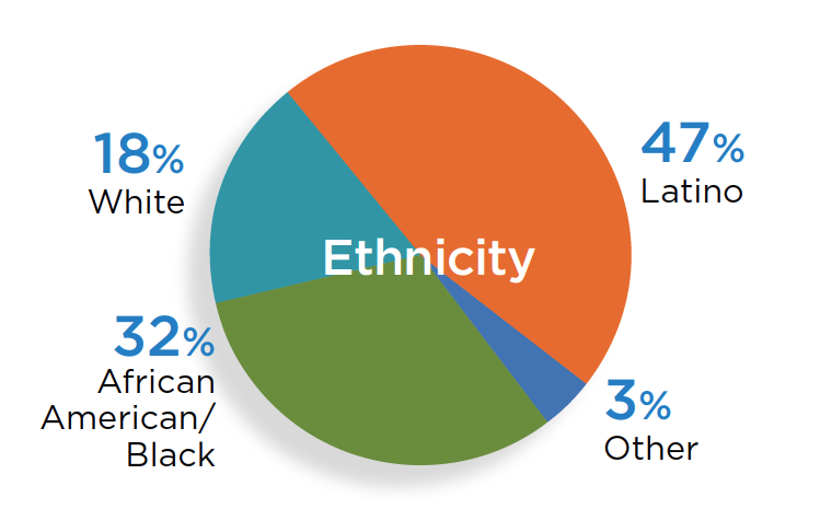 Client's Ethnicity