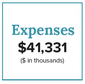 Expenses Chart totals